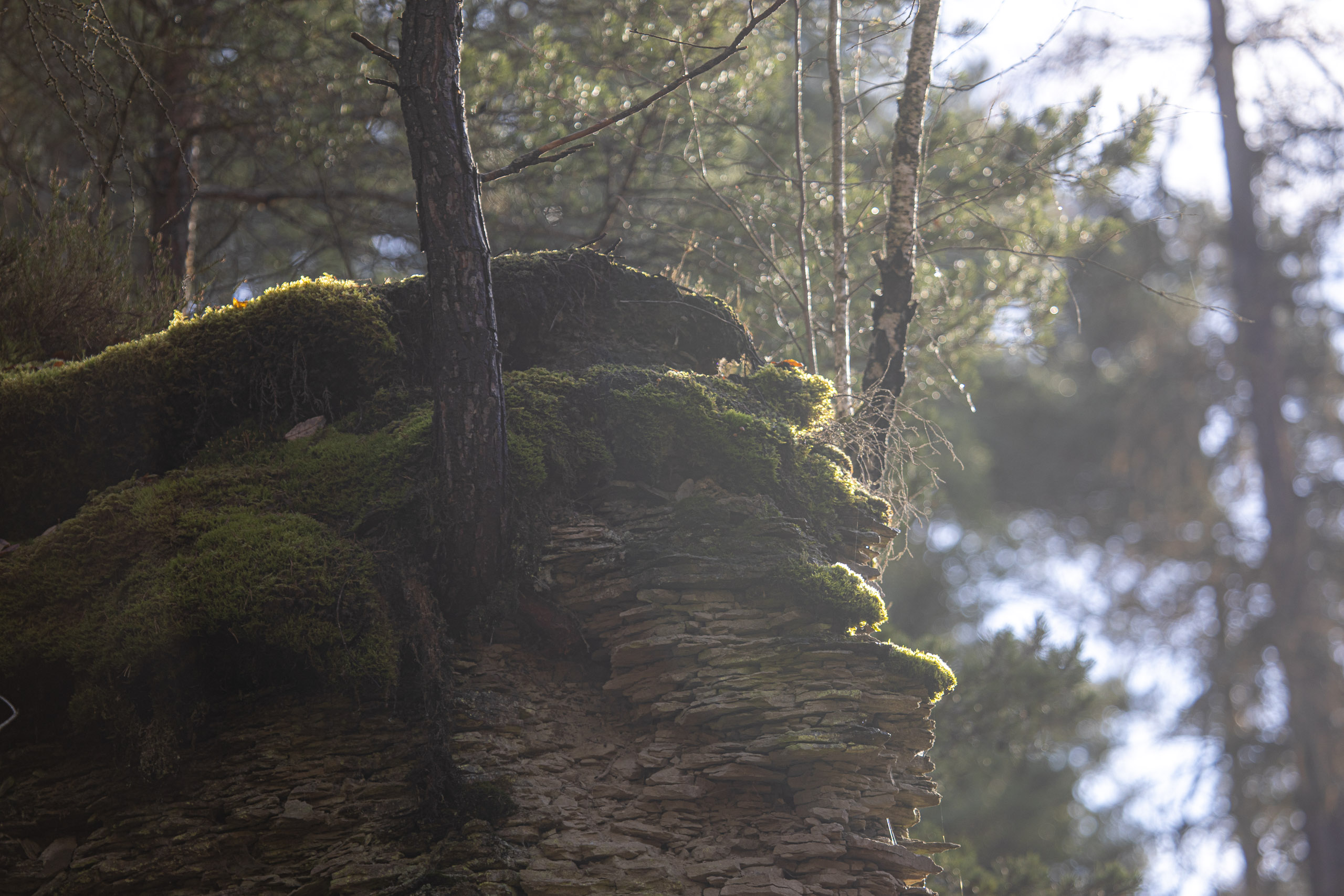 20251129123130 RD4 0859